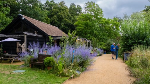 Two men standing on a path in the wildlife garden at Flatford